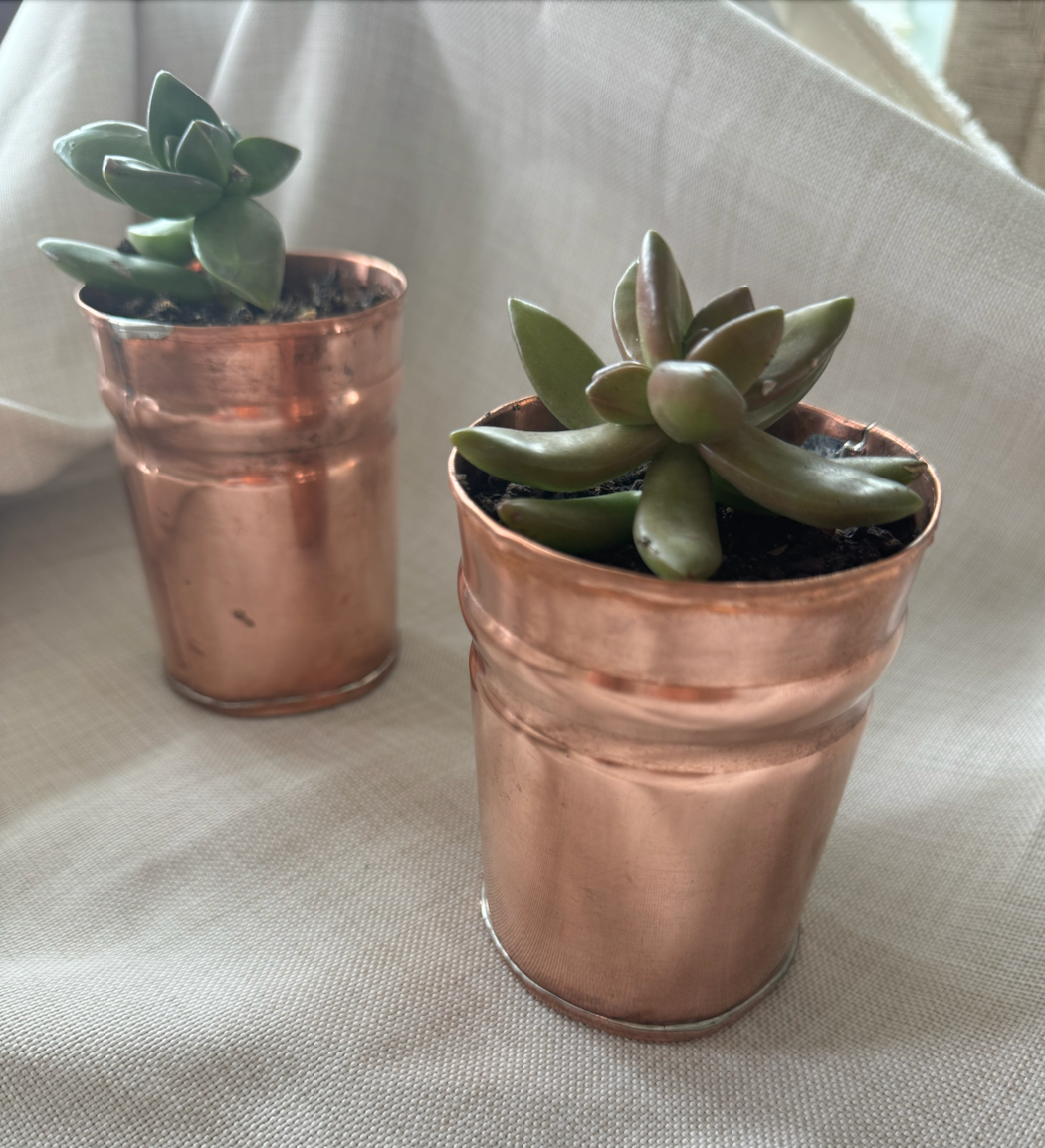 Copper Gardening Set - Limited Offer